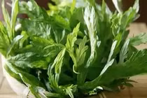 Những bài thuốc quý từ lá ngải cứu bạn nên biết