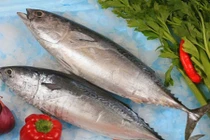 Loại cá này phụ nữ mang thai “chết đói” cũng không được ăn 