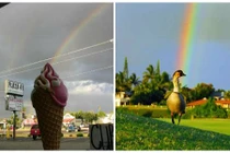 Khoảnh khắc trùng hợp thú vị với cầu vồng