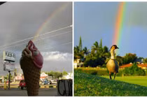 Khoảnh khắc trùng hợp thú vị với cầu vồng