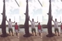 Câu được cá mập đầu búa 4 tạ, phá kỉ lục 37 năm