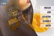 Những thực phẩm chống rụng tóc tự nhiên đừng bỏ qua