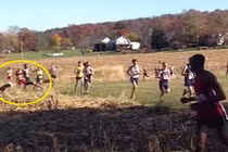 Đang chạy bị hươu vồ, VĐV điền kinh bỏ cuộc đau đớn