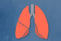 Video: 10 thực phẩm ngăn ngừa nguy cơ ung thư phổi