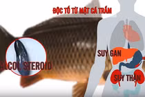 Những thực phẩm có chất độc tự nhiên bạn cần cẩn trọng