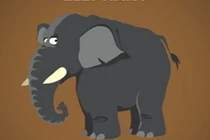 Khám phá gây choáng về tuổi thọ các loài vật 