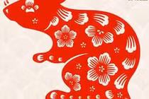 Video: Xem tử vi người tuổi Tý năm 2018 qua từng tháng sinh âm lịch