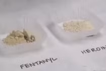 Video: Loại ma túy nguy hiểm ám ảnh cảnh sát Mỹ 