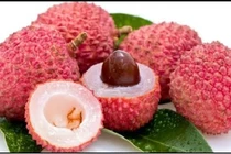 Thực hư việc ăn vải bị viêm não Nhật Bản