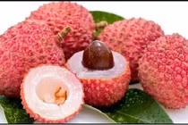 Thực hư việc ăn vải bị viêm não Nhật Bản