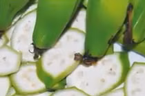 Cách trị lang ben hiệu quả ngay tại nhà