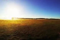 Ngắm bình minh tuyệt đẹp trên nông trại châu Âu