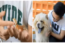 Uống cà phê với... rồng Nam Mỹ khiến giới trẻ mê tít