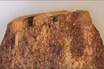 Video: Vì sao gỗ nu đắt gấp nhiều lần gỗ sưa?