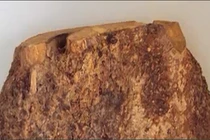 Video: Vì sao gỗ nu đắt gấp nhiều lần gỗ sưa?