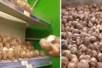 Sự thật hé lộ về “rau sạch” trong siêu thị