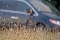 Bố cho con vào tủ lạnh sơ cứu say nắng khiến con mất mạng