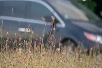 Bố cho con vào tủ lạnh sơ cứu say nắng khiến con mất mạng