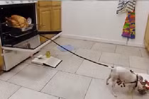 Cách nấu ăn chỉ có người lười mới làm được