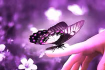 Video: 5 dấu hiệu báo bạn sắp gặp nhiều may mắn