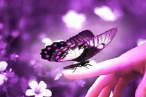 Video: 5 dấu hiệu báo bạn sắp gặp nhiều may mắn