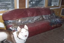 Công dụng hài khó đỡ của băng keo trong cuộc sống (2)