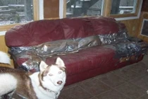 Công dụng hài khó đỡ của băng keo trong cuộc sống (2)