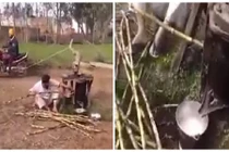 Kiểu ép nước mía không đụng hàng của hai người đàn ông