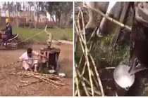 Kiểu ép nước mía không đụng hàng của hai người đàn ông