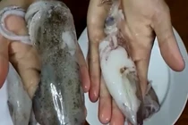 “Hô biến” mực thối thành mực tươi ngon mắt nhờ hóa chất