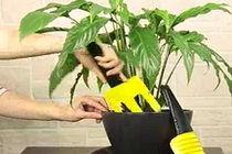 Tái chế chai nhựa thành những vật dụng hữu ích