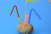 7 mẹo hay cùng ống hút