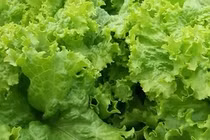 Video: Thời tiết chuyển lạnh, tuyệt đối tránh xa những món ăn này