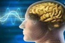 Cách khôi phục trí nhớ cho người hay quên