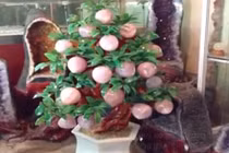 Video: Trào lưu chơi cây phong thủy đào tiên thạch anh, nho đá quý giá trăm triệu 