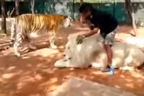 “Việc nhẹ lương cao” ít ai dám làm