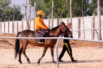 Đề xuất xây trường đua ngựa 500 triệu USD tại Cần Thơ