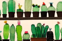 Không ai ngờ chai nhựa có thể biến thành những vật này