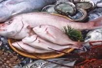 Xuất hiện hóa chất lạ ngâm cá tăng gấp rưỡi trọng lượng