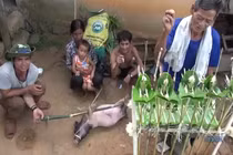 Vạch trần trò lừa chữa bệnh “cầm đồ thuốc độc” của thầy bói