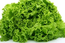 Tác dụng tuyệt vời của rau xà lách không phải ai cũng biết