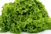 Tác dụng tuyệt vời của rau xà lách không phải ai cũng biết