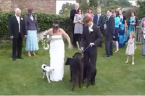 Những “tai nạn” dở khóc dở cười trong ngày cưới