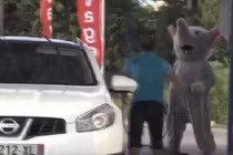 Đóng giả động vật để đi trêu chọc mọi người