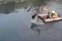 Cái kết đắng lòng khi dùng máy xúc chèo qua sông 