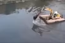 Cái kết đắng lòng khi dùng máy xúc chèo qua sông 