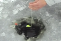 Clip câu cá tại nơi lạnh nhất thế giới