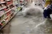 Nước từ lòng đất chảy lên như lũ trong cửa hàng