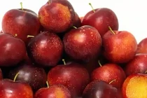 Những bài thuốc chữa bệnh tuyệt vời từ quả mận