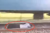 Video: 5 pha thoát chết tai nạn đường sắt ngoạn mục